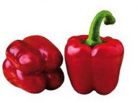 /album/eccofruta/pimiento-california-rojo-jpg/